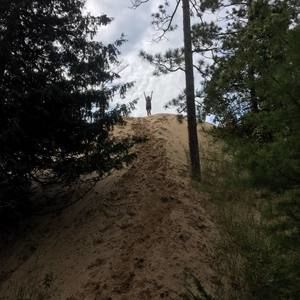 Meet your Posher, Misty